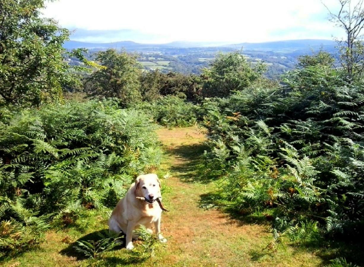 Heathergate Cottage Dartmoor Bnb Lydford Екстериор снимка